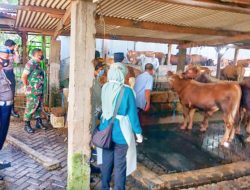 Kunjungi Lokasi Peternakan Sapi Guna Kontrol Dan Pengecekan Wabah Penyakit PMK Pada Hewan Ternak