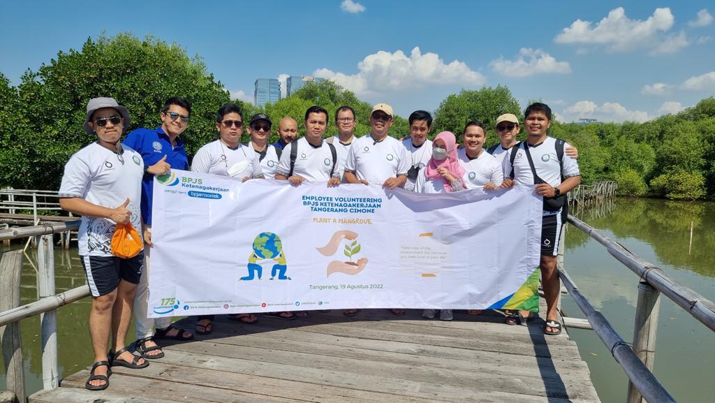 Peduli Lingkungan, BPJS Ketenagakerjaan Cimone Lakukan Penanaman Pohon Bakau