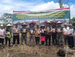 Dongkrak Hanpangan, Kodim 0119/BM Bersama Forkopimda Tanam Jagung Perdana