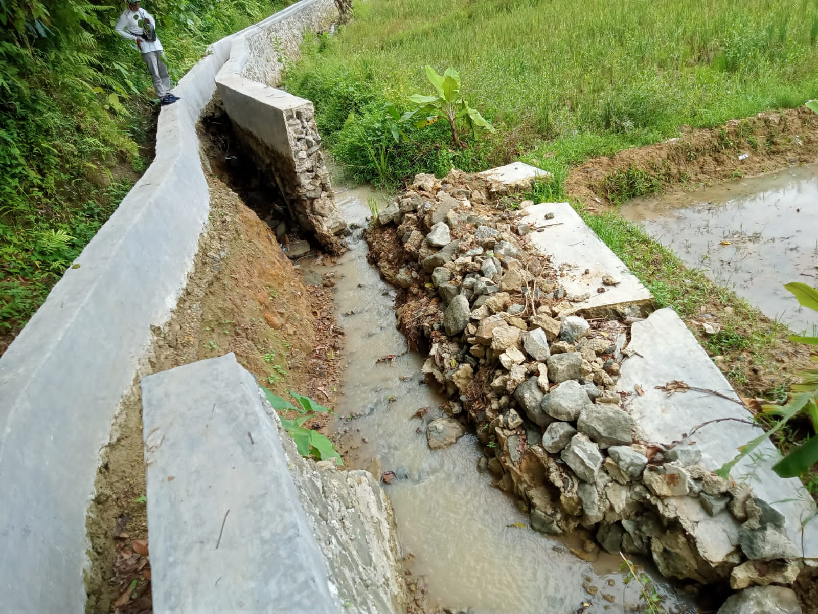 Belum Setahun Dibangun Irigasi P3TGAI di Cijaha Kecamatan Sajira Lebak Diduga Ambrol