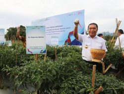 Pengangguran di Banten Menurun, Pejabat Gubernur Banten Al Muktabar Atasi Kerjasama