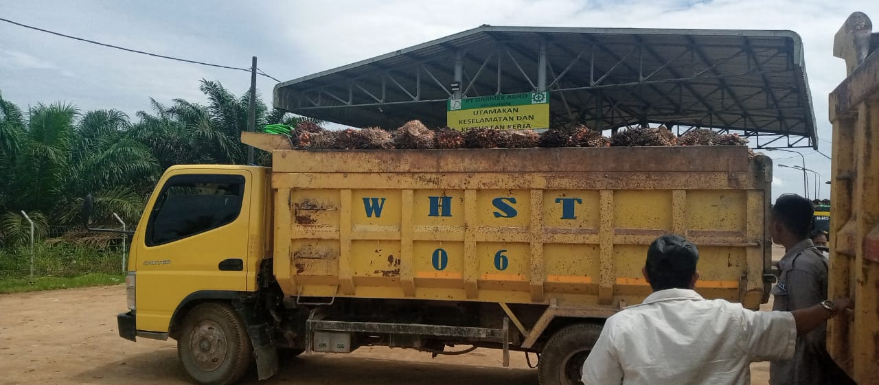 Diduga Mobil PT Duta Palma Nusantara Bebas Beroperasi Melewati Dua Kabupaten Kota.