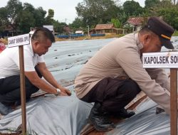 Tripika Kecamatan Somba Opu bersama Dandim 1409/gowa Hadiri Penanaman Cabe.