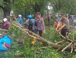 Respon cepat Polsek Bontonompo evakuasi pohon tumbang