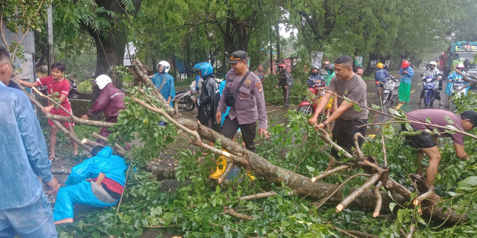 Respon cepat Polsek Bontonompo evakuasi pohon tumbang