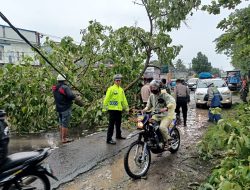 Ada Pohon Tumbang, Polantas Takalar Sigap Urai Kemacetan