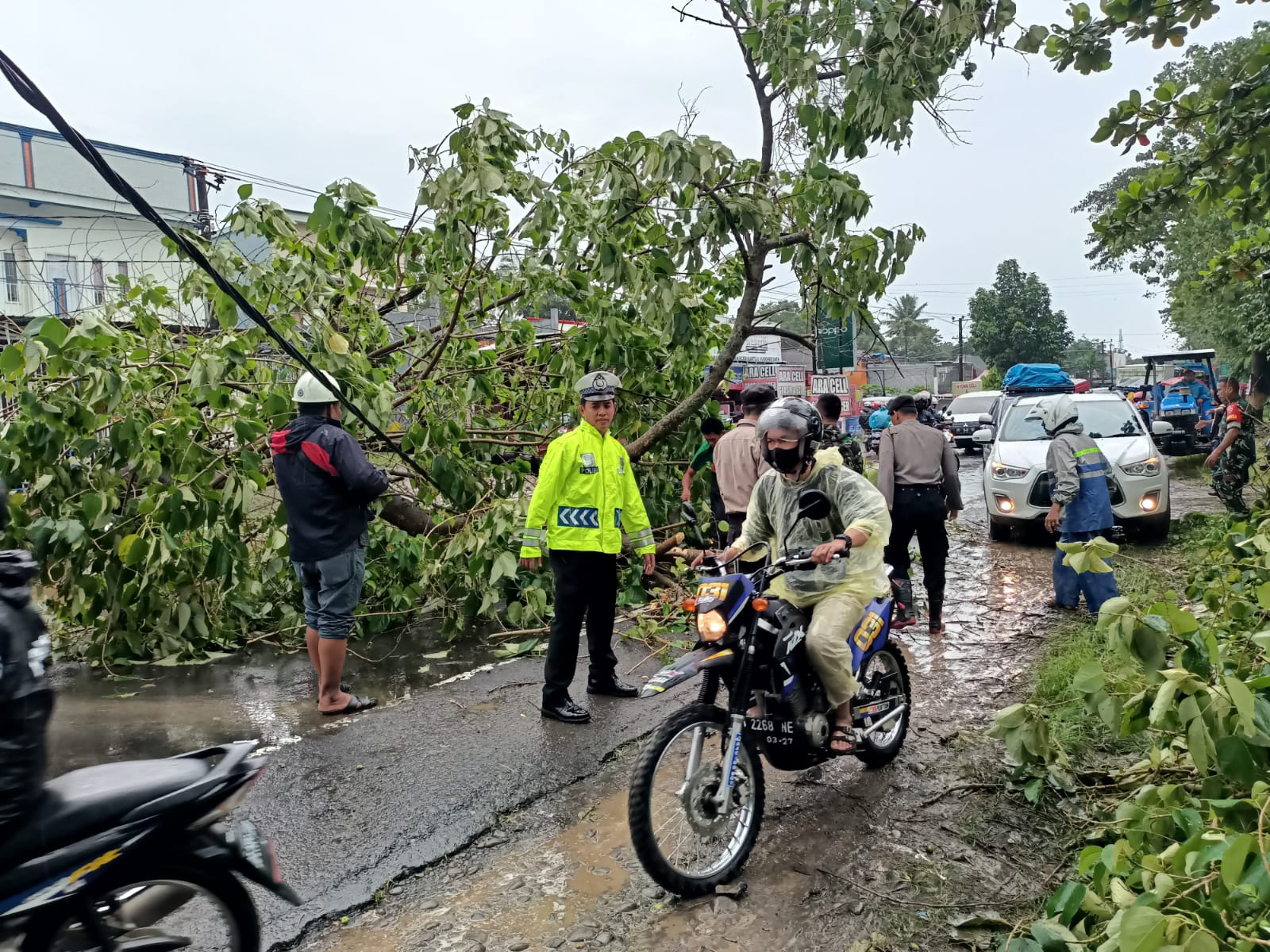 Ada Pohon Tumbang, Polantas Takalar Sigap Urai Kemacetan