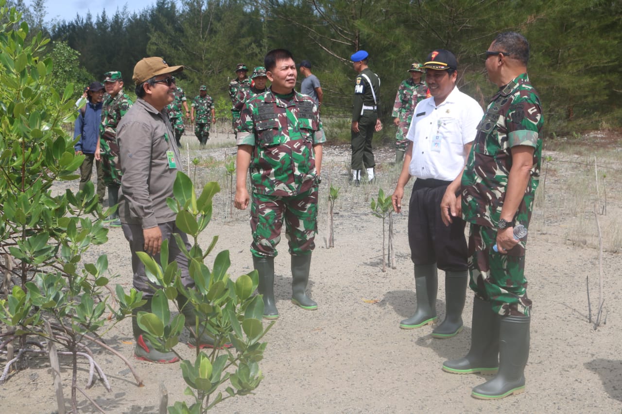 Tim Pokja Sahli Kasad Tinjau Pusat Rehabilitasi Hutan Mangroove