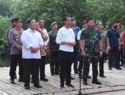 Kasad Dampingi Presiden Pada Acara Puncak Penanaman Mangrove Nasional