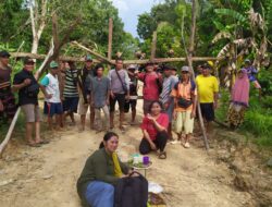 Lapor Bupati Kapuas Hulu,Diduga Perusahaan PT.Batu Rizal Perkasa Serobot Lahan Warga,Ribuan Batang Karet Siap Toreh Sudah Rata Dengan Tanah.