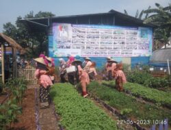 TP-PKK Kabupaten Tangerang Adakan Kunjungan Program PKK di Desa Pondok Jaya Sepatan