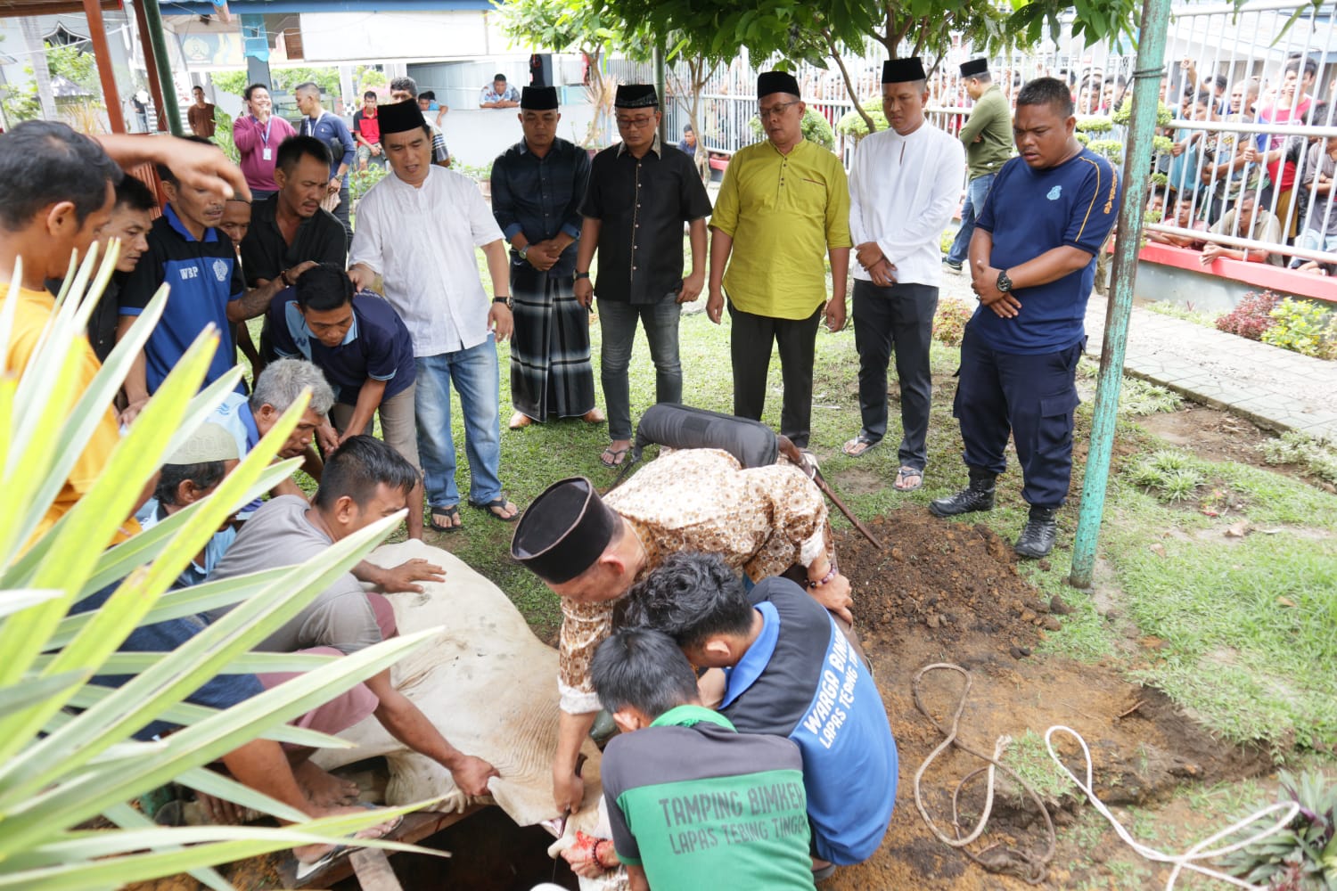 Semarak Hari Raya Idul Adha 1444H, Lapas Kelas IIB Tebing Tinggi Sembelih 6 Ekor Hewan Kurban