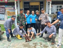 Polsek Samalantan Ditengah Vaksinasi Rabies Serempak