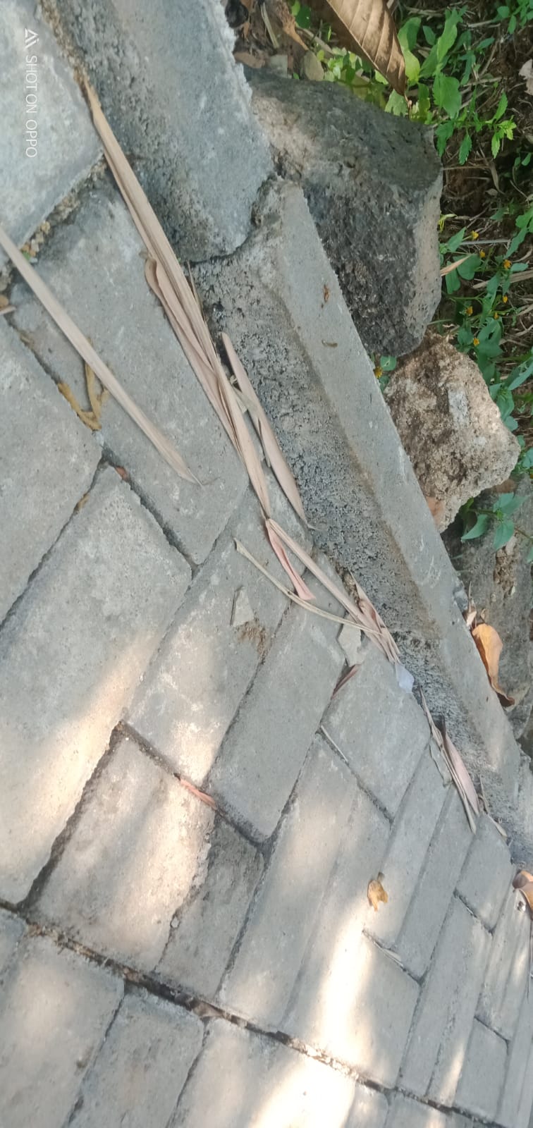 Pembangunan Paving block Di Desa Karya Jaya Diduga Asal Asalan