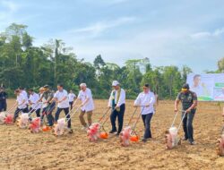 Satgas Yonif 125/SMB Bangun Taman Bermain, Hadirkan Keceriaan Anak-Anak Papua