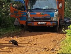 Salah Satu Saomel Atau (TPK) Tempat Bongkar Muat Kayu Yang Berkedok Cuma Trima Jasa Olahan,Diduga Tidak Mengantongi Perizinan Terkesan Kebal Hukum