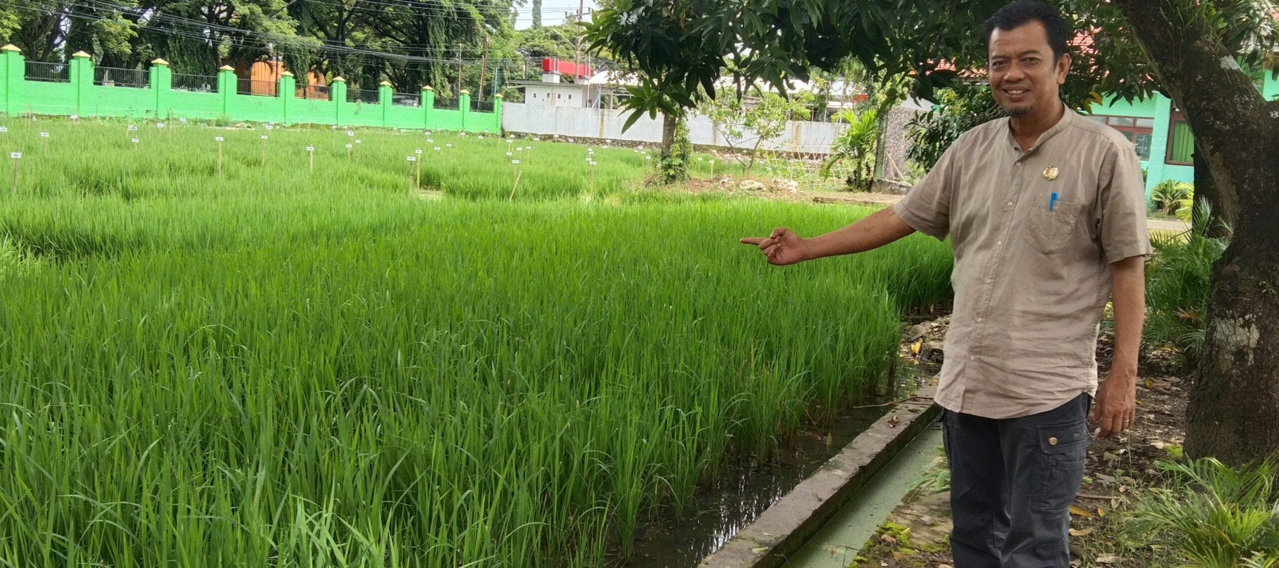 “Program Pemerintah Sulawesi Selatan dalam Melestarikan Fungsi Hutan Tanaman Pertumbuhan untuk Manfaat Masyarakat Ragam”