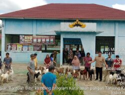 Kampung Tanjung Kurung Lama Bagikan 14 ekor Kambing