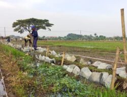 Woww!!! Proyek Pembangunan Saluran Air Tersier Diduga Tidak Sesuai Bestek