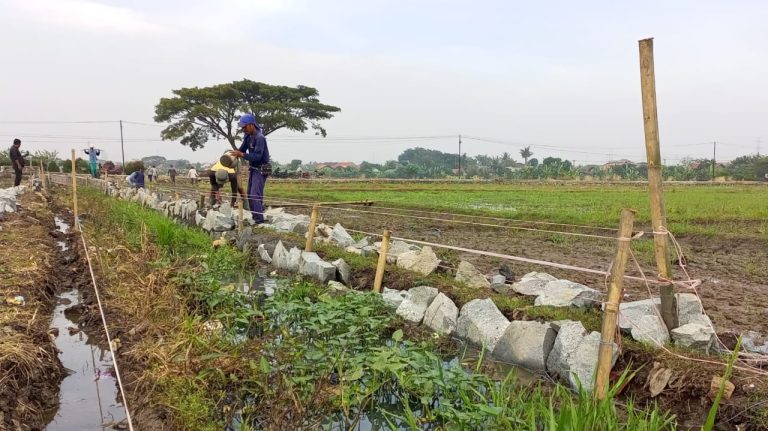 Woww!!! Proyek Pembangunan Saluran Air Tersier Diduga Tidak Sesuai Bestek