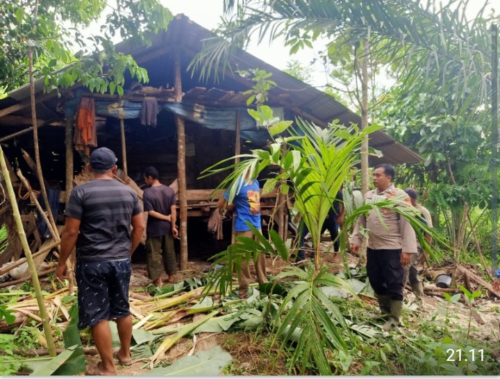 Kawanan Gajah Liar Masuk Pemukiman, Rusak Rumah dan Kebun Warga Peunaron, Aceh Timur.