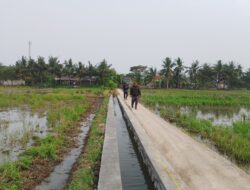 Warga Ucapkan Terimakasih Telah Di Bangun Jitut Oleh Dinas Pertanian dan Pihak Rekanan CV Karya Anak Bekasi