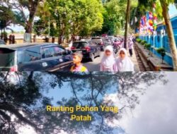 Tak Ada Angin dan Hujan, Dahan Pohon Beringin Patah Hampir Timpa Mobil Yang Terpakir