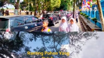 Tak Ada Angin dan Hujan, Dahan Pohon Beringin Patah Hampir Timpa Mobil Yang Terpakir