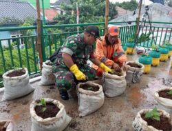 Babinsa Kampung Dukuh Bersama PPSU Buat Kebun Apotik Hidup