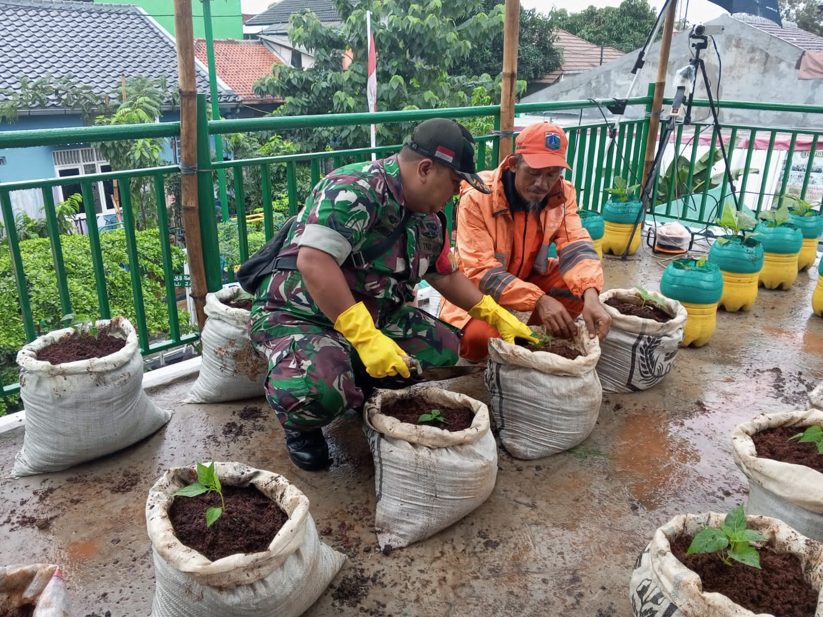 Babinsa Kampung Dukuh Bersama PPSU Buat Kebun Apotik Hidup