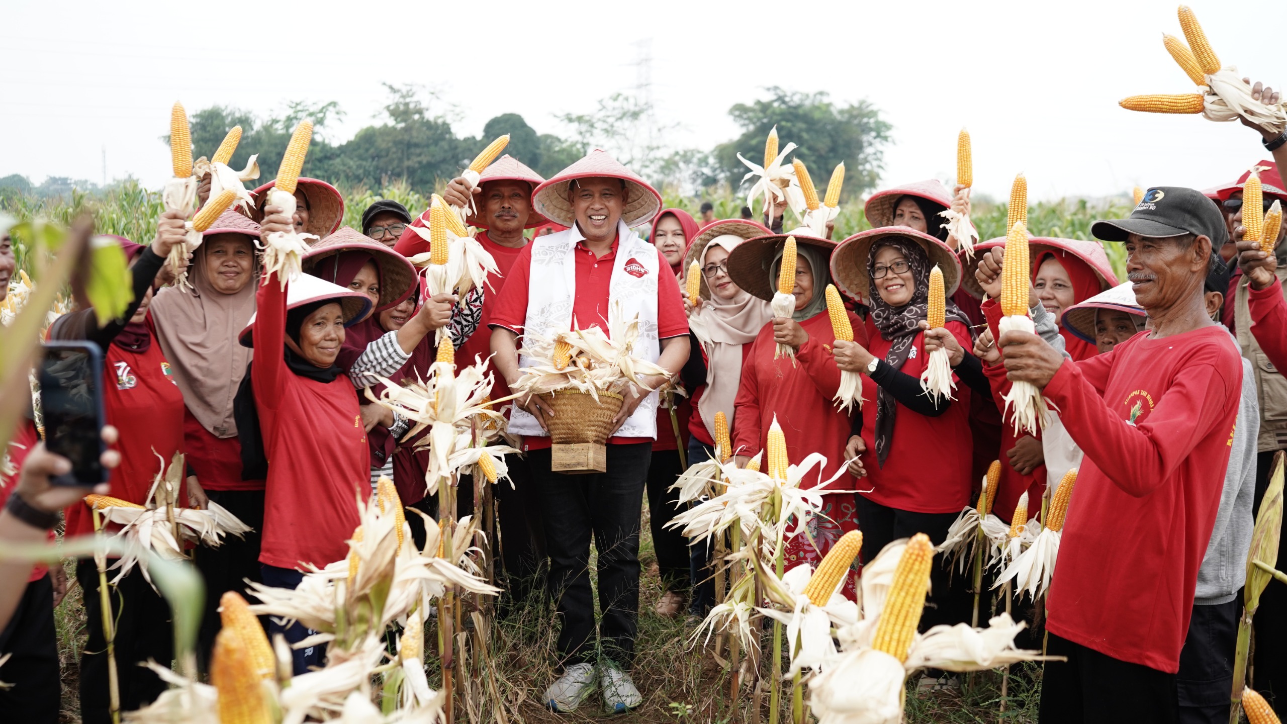 Acara panen raya jagung di Kelurahan Mustikasari, Kota Bekasi,