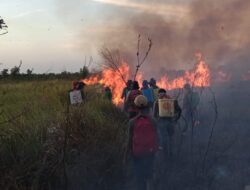 Kawasan TNWK Kembali Terbakar, Ini Harapan Dandim 0429/Lamtim