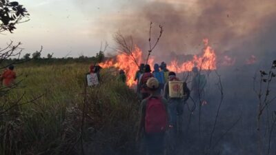 Kawasan TNWK Kembali Terbakar, Ini Harapan Dandim 0429/Lamtim