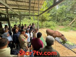 Menteri kehutanan RI Kunjungan kerja Di Taman Nasional waykambas Labuhan Ratu lampung Timur di dampingi Koramil 429-01/