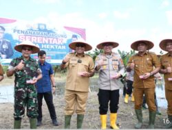 1 Juta Hektar Jagung, Polres Aceh Timur Dukung Swasembada Pangan